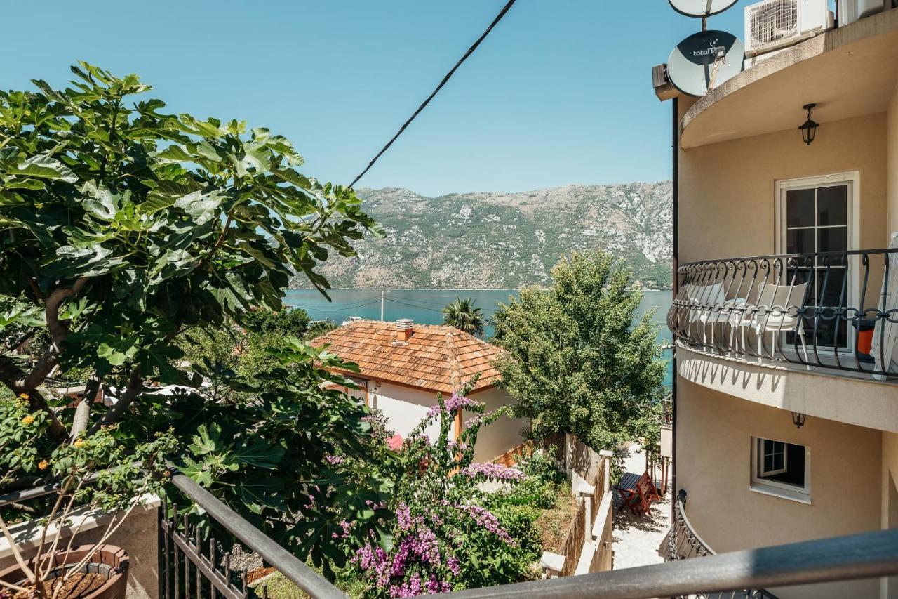 Apartments Cosovic Kotor Eksteriør billede